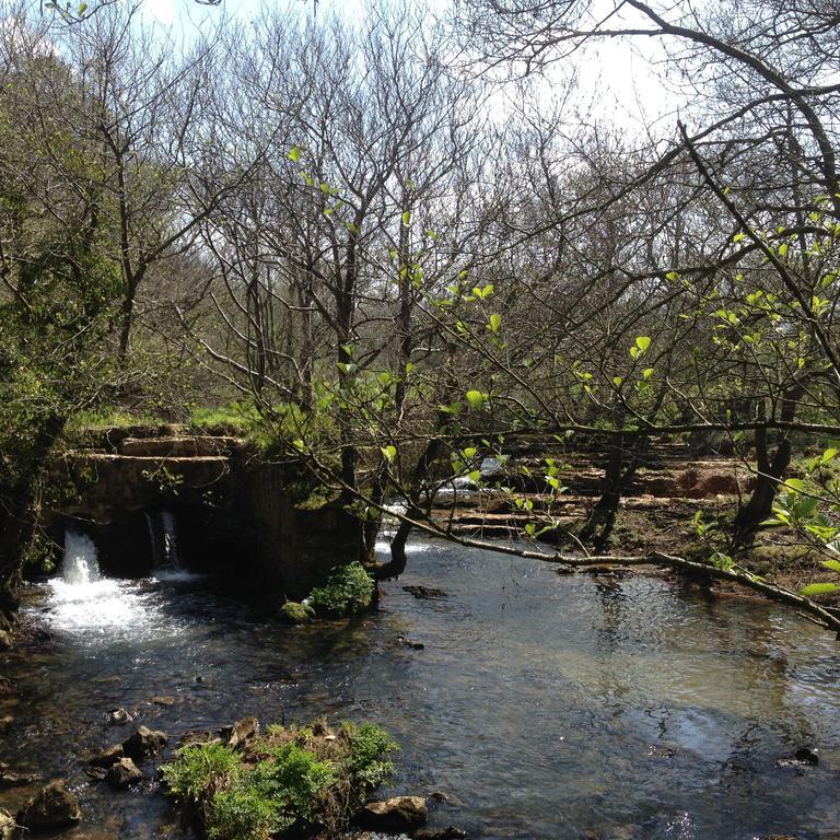 Trisileja En Puente Romano Toñanes 外观 照片